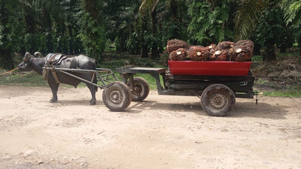 whatsapp image 2025 08 15 at 12.30.09 whatsapp image 2025 08 15 at 12.30.09